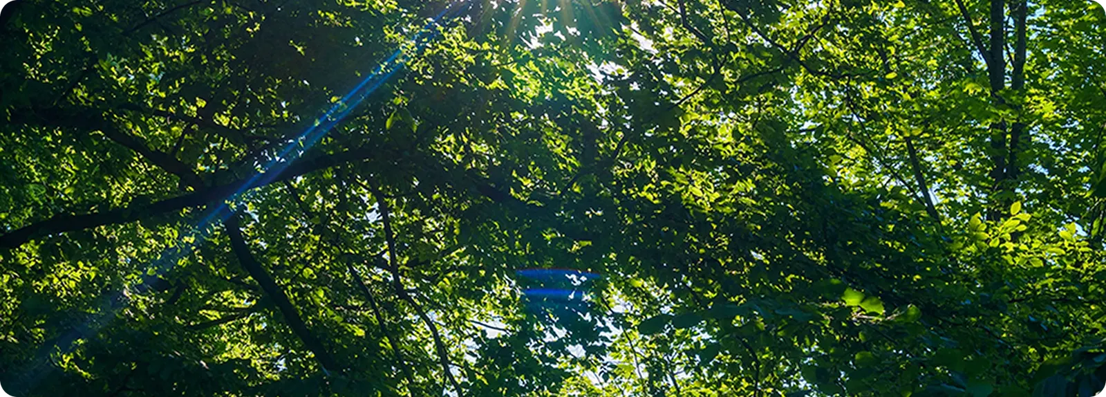 Comunidad rodeada de naturaleza